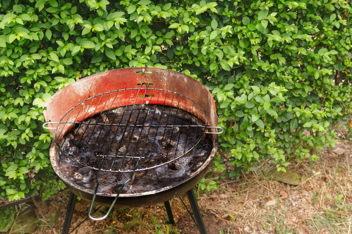 découvrez l'astuce miracle pour une grille de barbecue impeccable