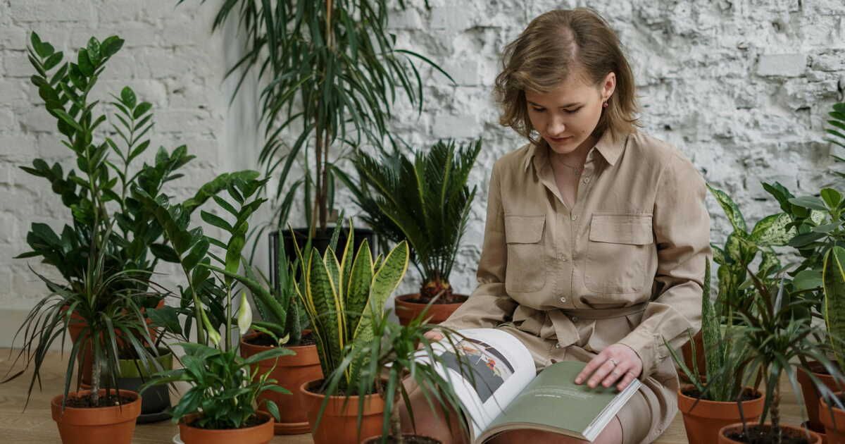 Ces 30 plantes d'intérieur s'épanouissent dans l'ombre