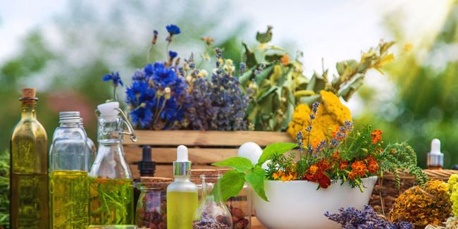 La naturopathie : explorer les limites d'une thérapie alternative