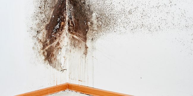 10 astuces pratiques pour éliminer l'humidité de votre maison