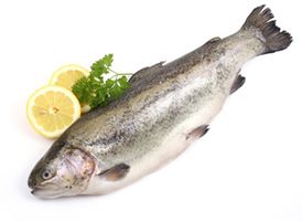 Le poisson, un aliment à surveiller pour votre santé ?