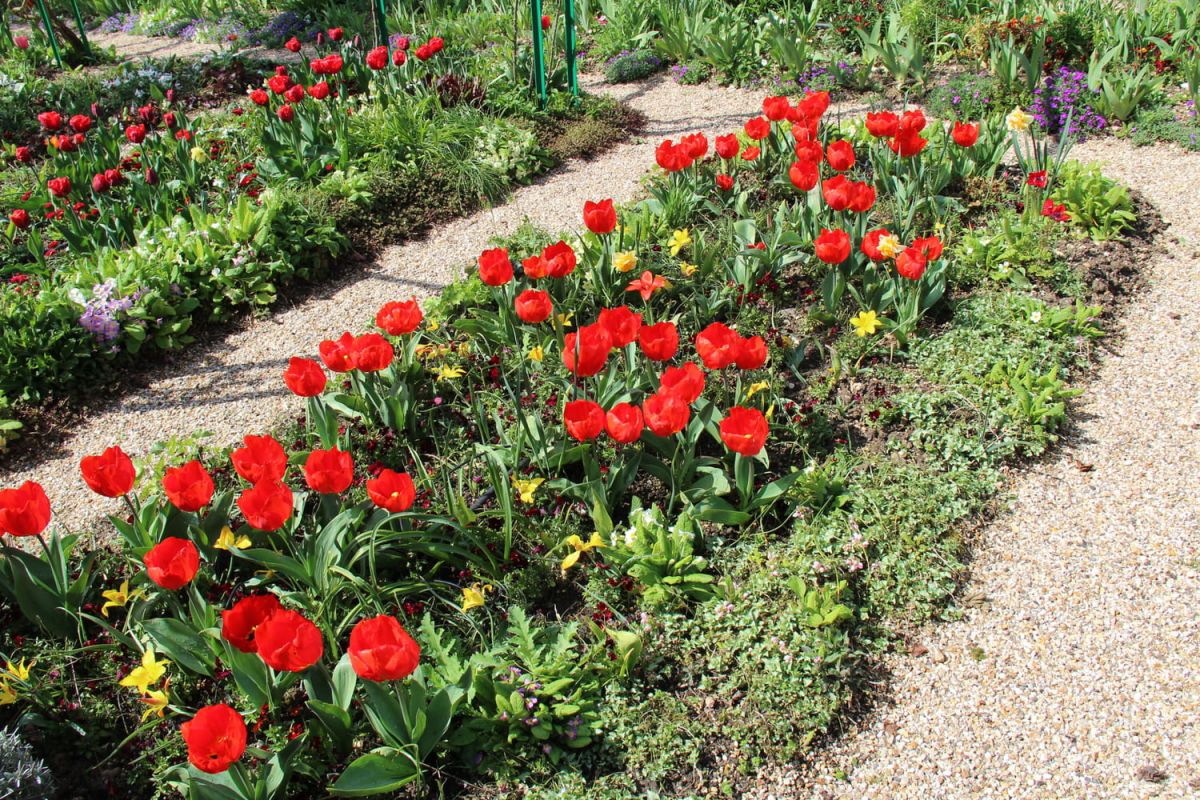 mars, le mois de la floraison éclatante