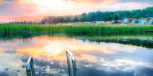 Plongée au cœur des piscines naturelles : un oasis de bien-être