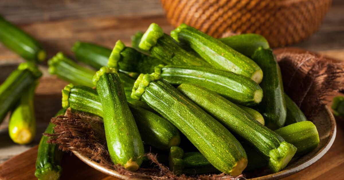 comment conserver vos courgettes : astuces et recettes pour en profiter toute l'année