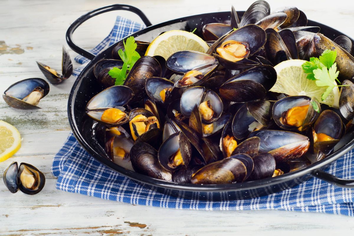 Les secrets d'une dégustation réussie des moules