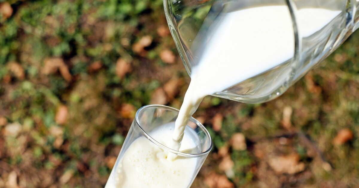 Redécouvrez le potentiel insoupçonné du lait périmé
