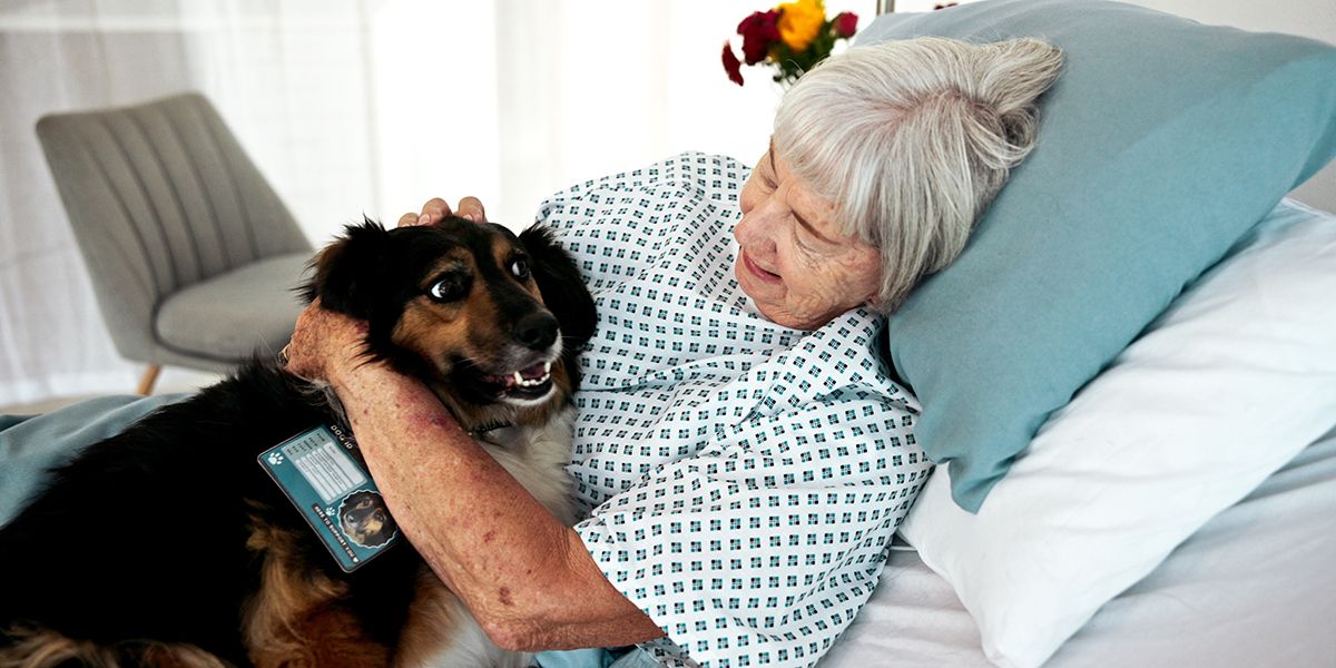Accueillir son animal en EHPAD : ce qu'il faut savoir