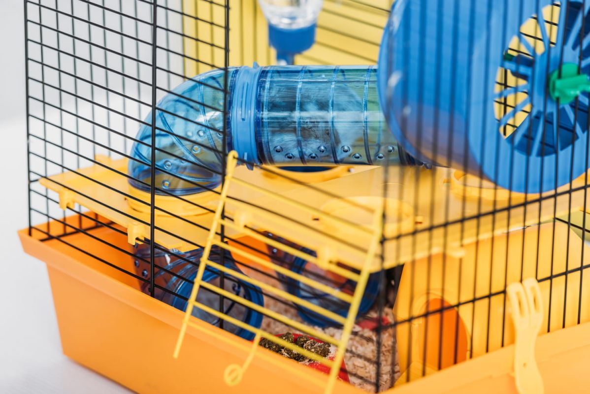Les cages idéales pour hamsters : guide d'achat 2023